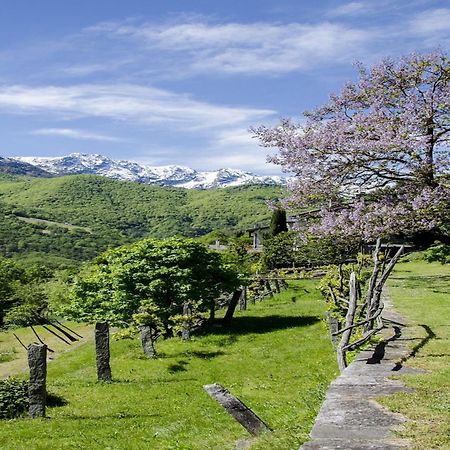 Residenza La Serenata Cavigliano Exterior foto