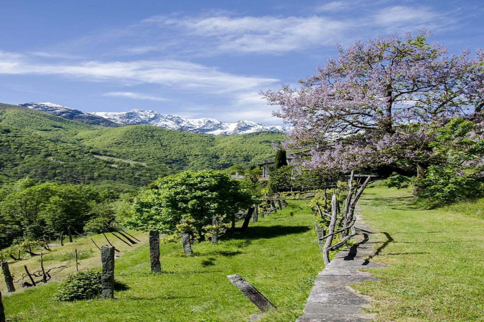 Residenza La Serenata Cavigliano Exterior foto
